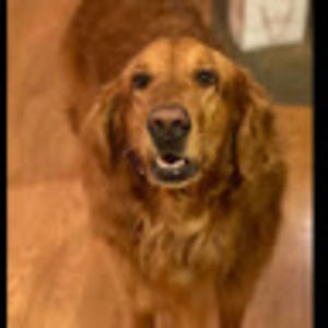 Meet your Posher, Michele